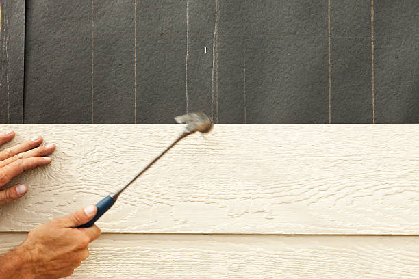 Best Engineered Wood Siding  in Reidland, KY